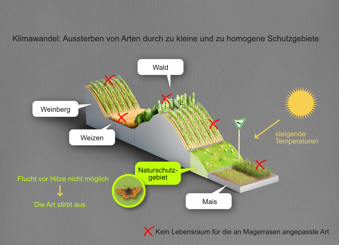 Illustration Schutzgebiet innerhalb der Agrarlandschaft