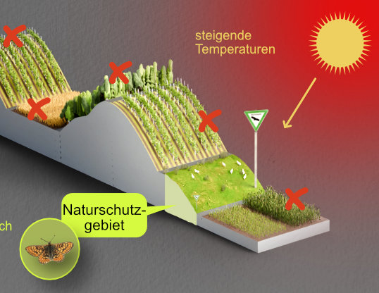 Ausgetrockneter Boden als Symbolbild für den Klimawandel